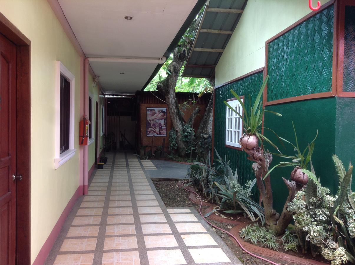 Tia Mers Guest House Puerto Princesa Bagian luar foto